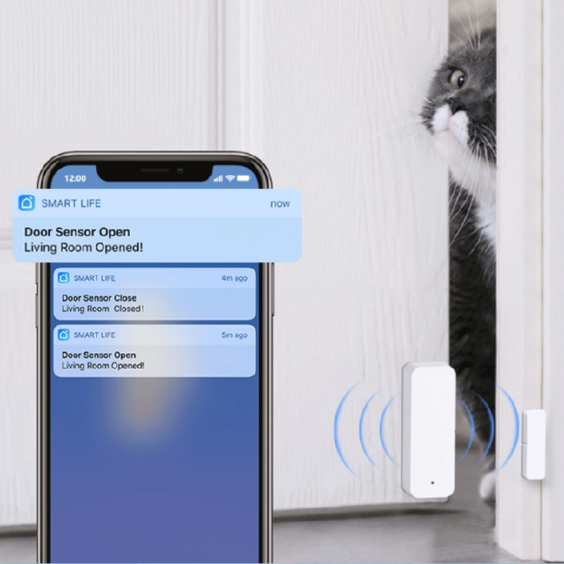 Tuya WiFi Zigbee Door Window S - đánh giá và giá Wireless Door Sensor